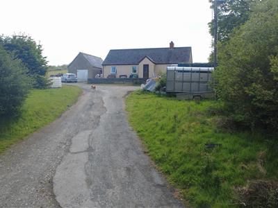 Picture 13